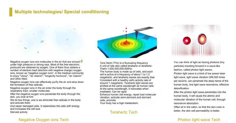 Professional Infrared Dry Sauna Spa Capsule for Body conditioning