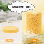 110pcs Compressed Facial Sponges - Disposable Natural Round Soft Pads | Multicolour