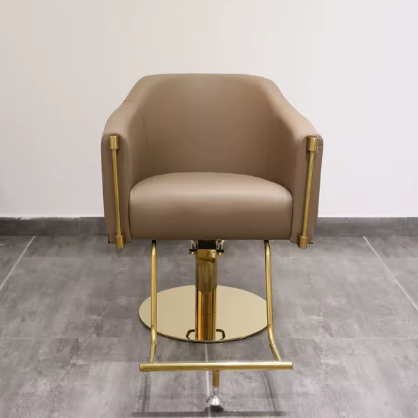 Modern Gold Metal Hydraulic Reclining Styling Chair