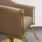 Modern Gold Metal Hydraulic Reclining Styling Chair