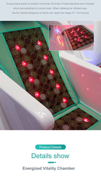 Professional Infrared Dry Sauna Spa Capsule for Body conditioning