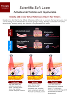 Professional 650nm Laser Hair Regrowth Machine for Hair Loss Treatment & Scalp Health